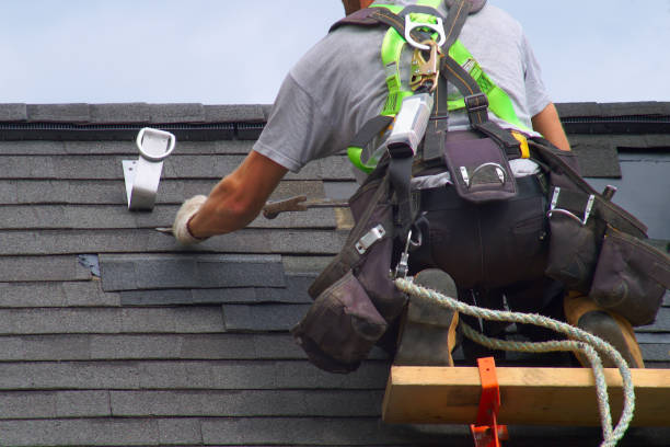 Best Gutter Installation and Roofing  in Vidor, TX