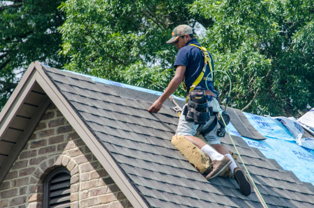 Best Shingle Roofing Installation  in Vidor, TX